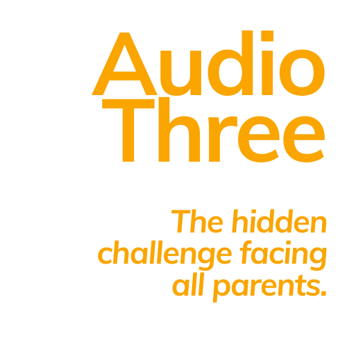Audio three (2)